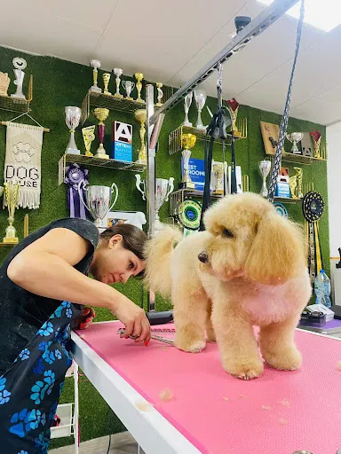 Enjoy Groomer - Psi Fryzjer